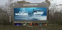 Apple Vision Pro带你体验老虎鲨吃午餐的沉浸式之旅