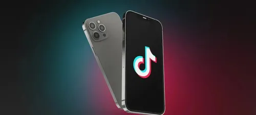 TikTok has decided to go offline even if it delays the execution of Bland's order.