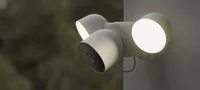 Security cameras and alarms have a good deterrent effect, according to the thief.