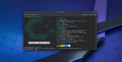 2025年2月,CachyOS ISO快照带来了 Linux 内核 6.13 和 NVIDIA 570 驱动。