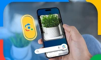 如何使用Google Lens将文本复制到您的计算机上