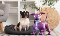 Will the robot pet come back?
