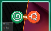 Linux Mint和Ubuntu：它们真的有那么大的区别吗？