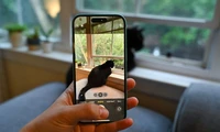 如何在iPhone上查找隐藏的照片