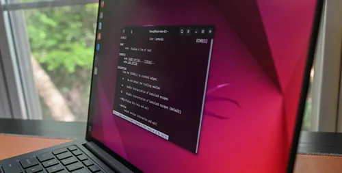 从Windows命令提示符切换到Linux终端:需要知道的7个事项
